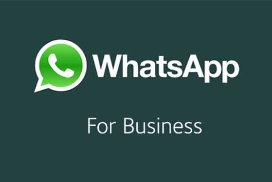 WhatsApp lance une application Pro pour les PME : WhatsApp Business