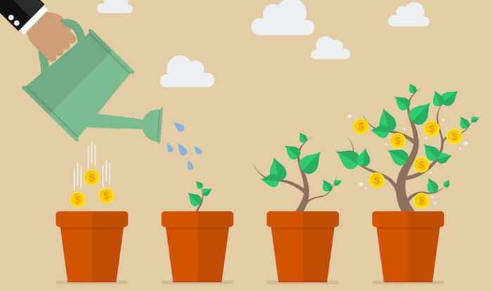 Hand with can watering money tree marketing automation