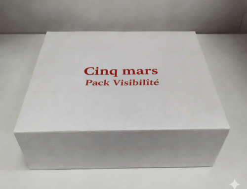Boostez votre visibilité grâce à la création de contenu avec IA — Le Pack Visibilité Cinq Mars