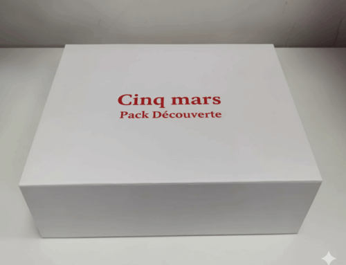 Initier votre entreprise à l’IA : découvrez le Pack Découverte IA de Cinq Mars